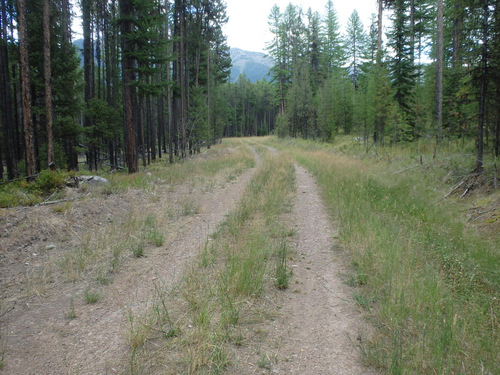 GDMBR: Southwest bound (approaching Richmond Peak, MT).